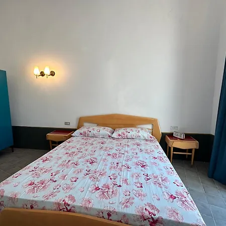 Accalmia 莫诺波利